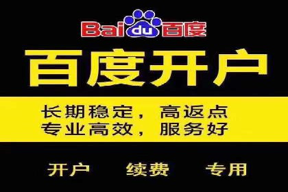 SEM代运营成功案例：打造行业领先品牌